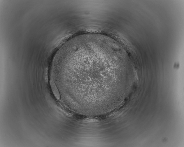 X0000092010696200709201530