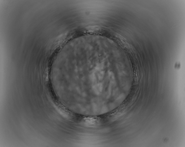 X0000092010703200709201530