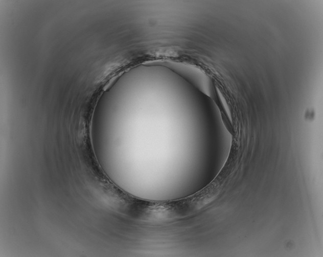 X0000092010704200709201530