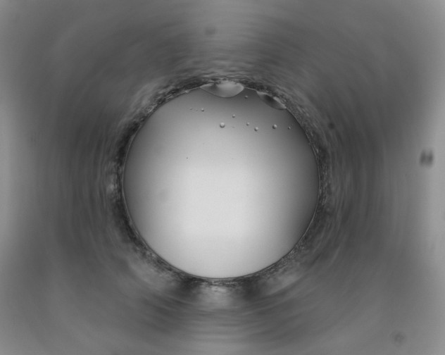 X0000092010706200709201530
