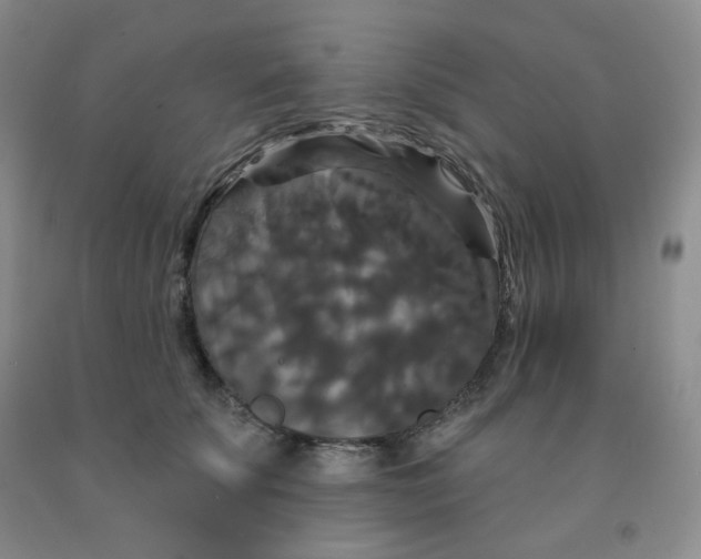 X0000092010707200709201530