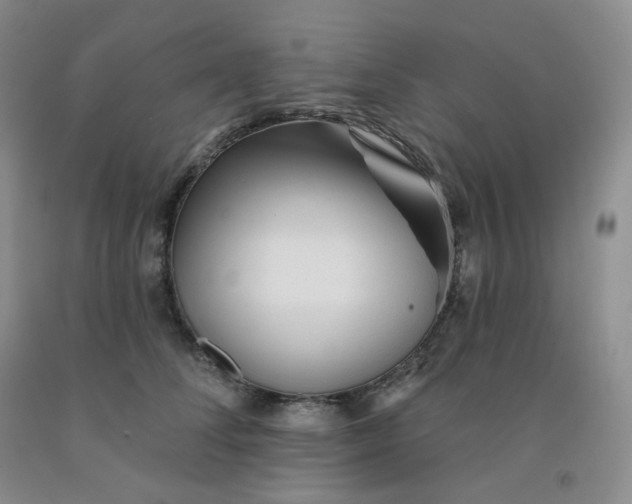 X0000092010708200709201530