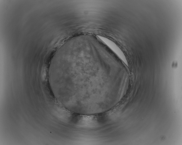 X0000092010709200709201530