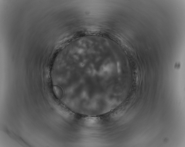 X0000092010711200709201530