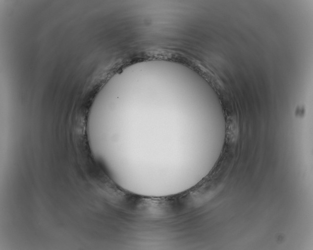 X0000092010713200709201530