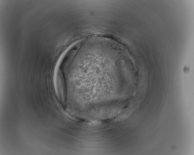 X0000092010720200709201530