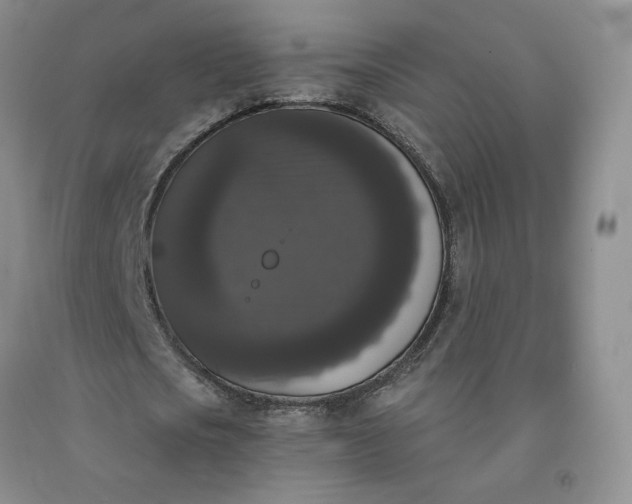 X0000092010721200709201530