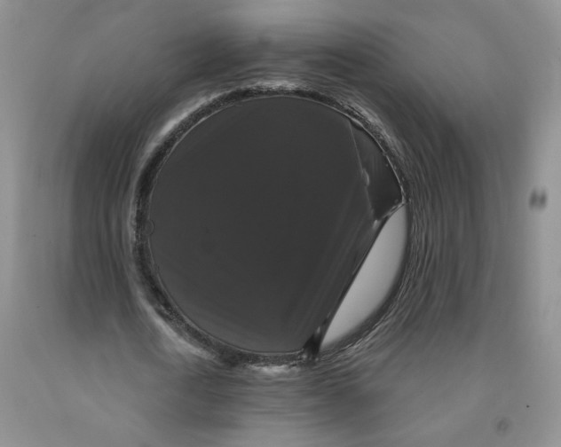 X0000092010722200709201530
