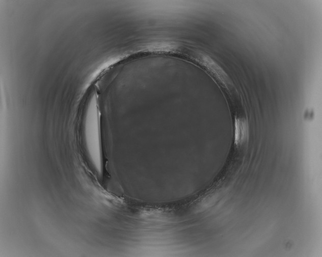 X0000092010723200709201530