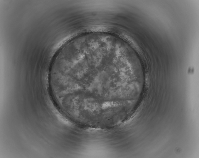 X0000092010725200709201530