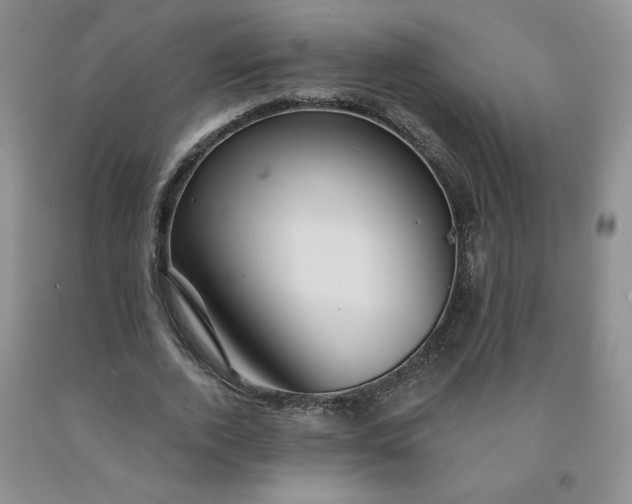 X0000092010728200709201530
