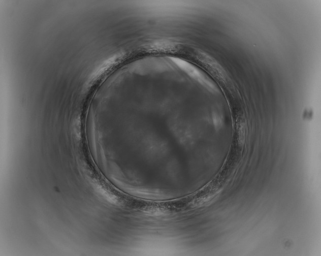 X0000092010729200709201530