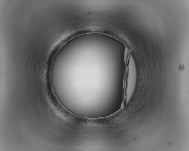 X0000092010730200709201530