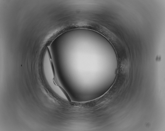 X0000092010732200709201530