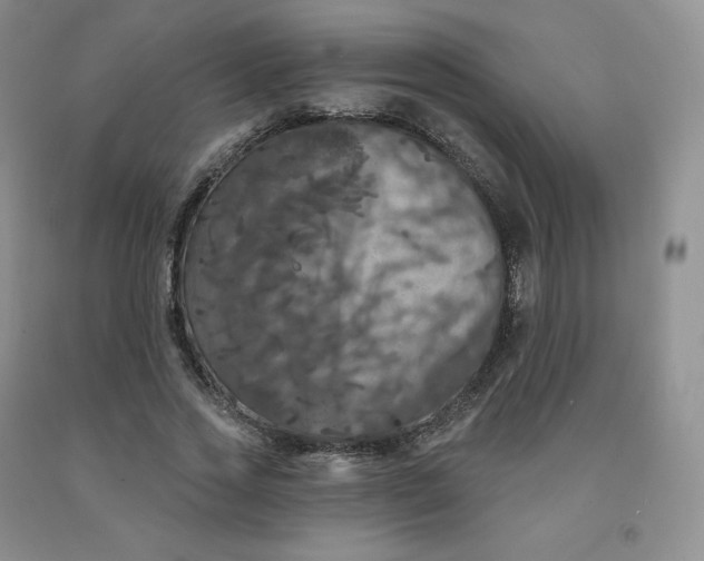 X0000092010733200709201530