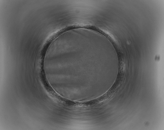 X0000092010736200709201530