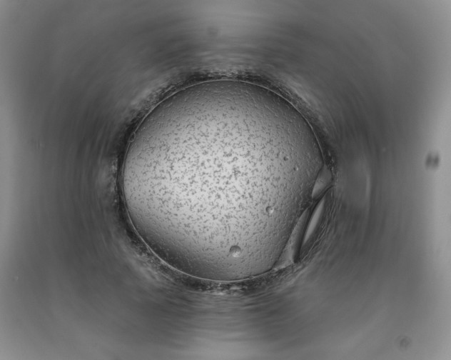 X0000092010737200709201530