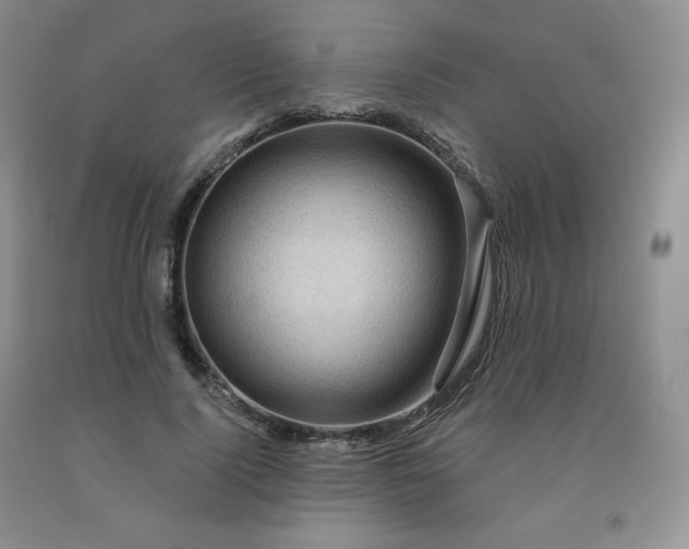 X0000092010740200709201530