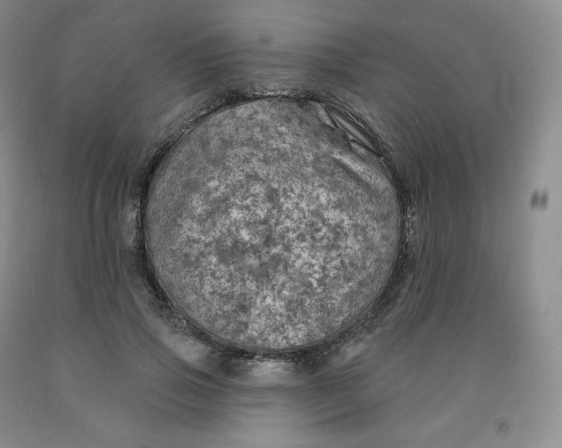 X0000092010741200709201530