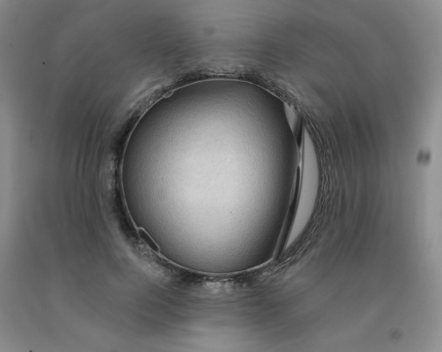 X0000092010744200709201530