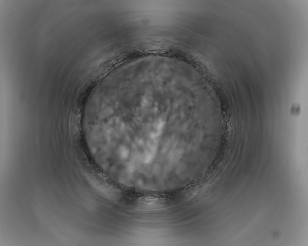 X0000092010745200709201530