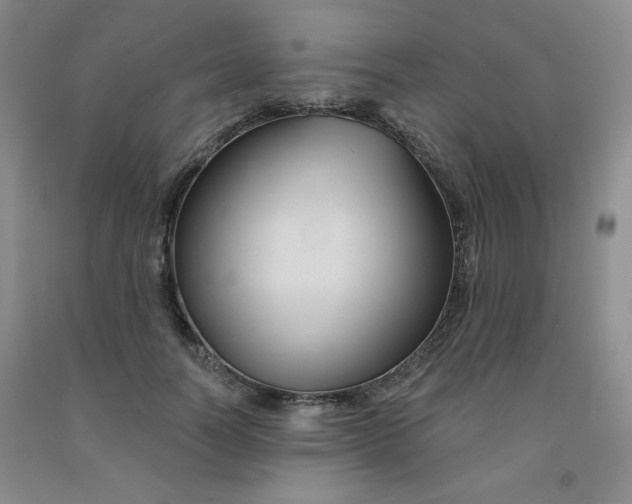 X0000092010746200709201530