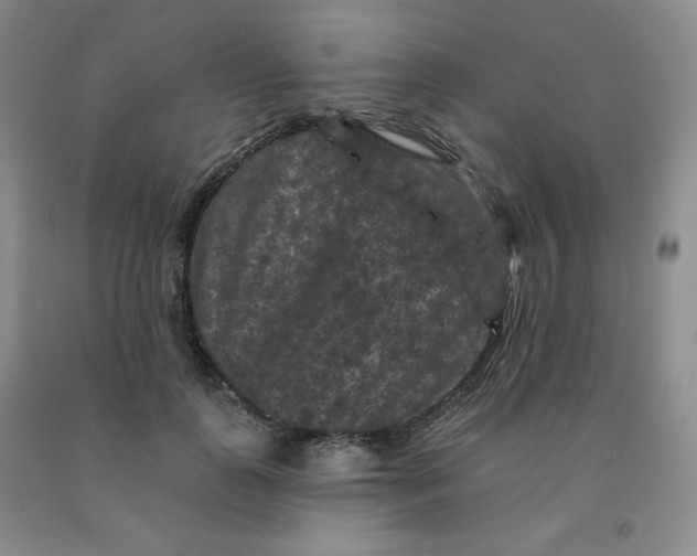 X0000092010747200709201530