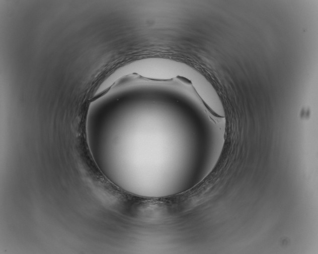 X0000092010750200709201530