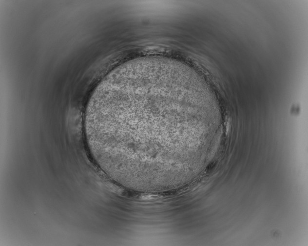 X0000092010753200709201530