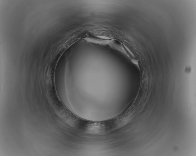 X0000092010754200709201530