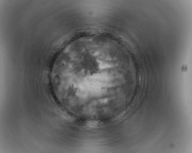 X0000092010757200709201530