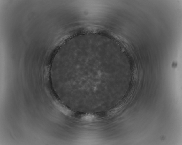 X0000092010759200709201530