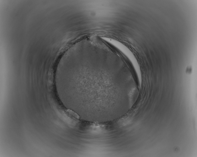X0000092010760200709201530