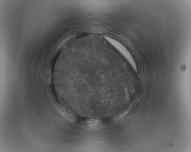 X0000092010762200709201530