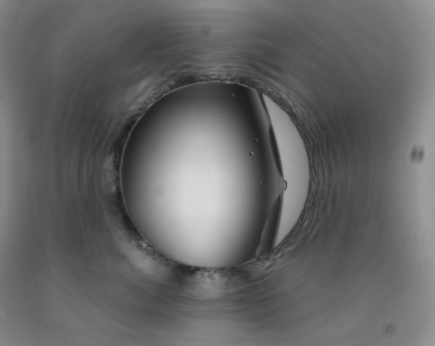 X0000092010764200709201530