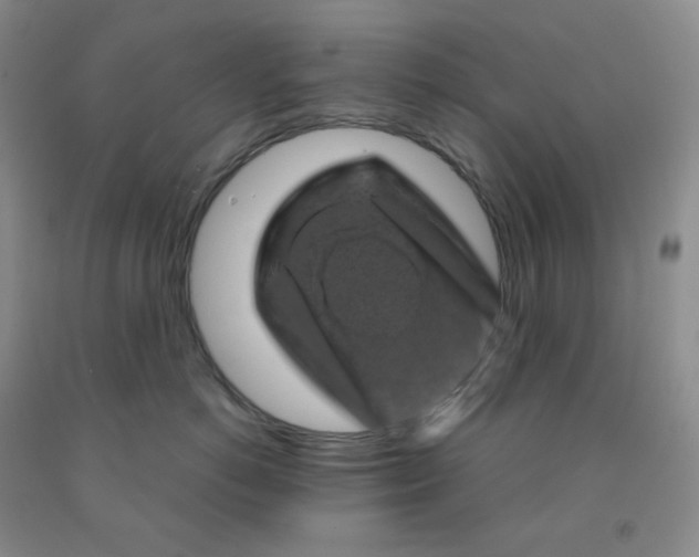 X0000092010766200709201530