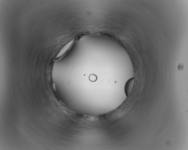 X0000092010768200709201530