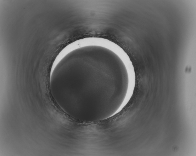 X0000092010769200709201530