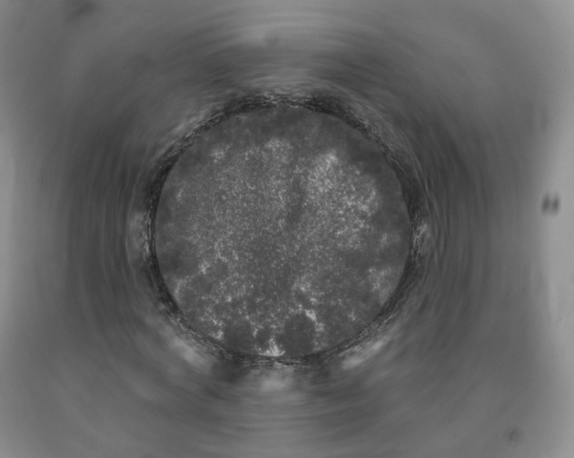 X0000092010772200709201530