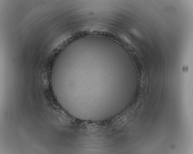 X0000092010774200709201530