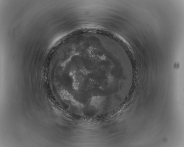 X0000092010775200709201530