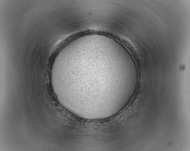 X0000092010776200709201529