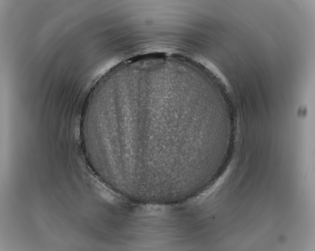 X0000092010777200709201529
