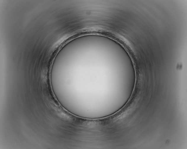 X0000092010778200709201529