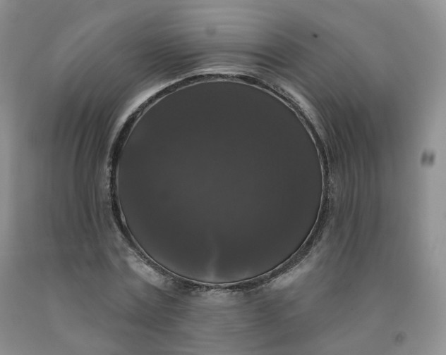 X0000092010779200709201529