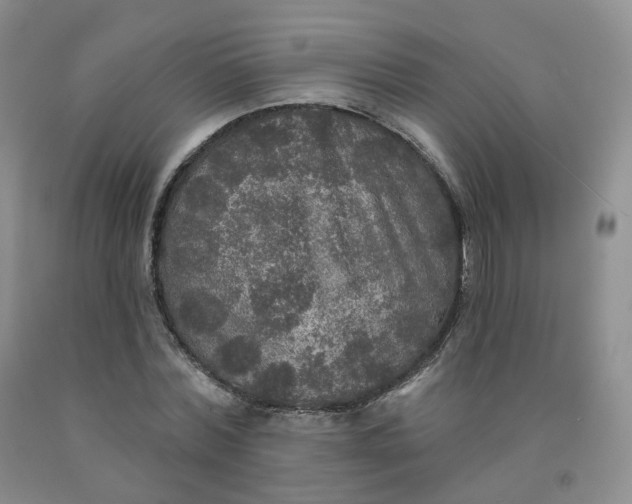 X0000092010780200709201529