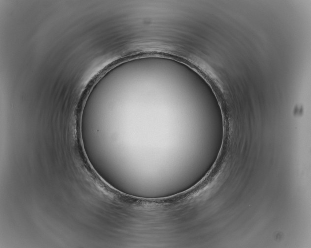 X0000092010782200709201529