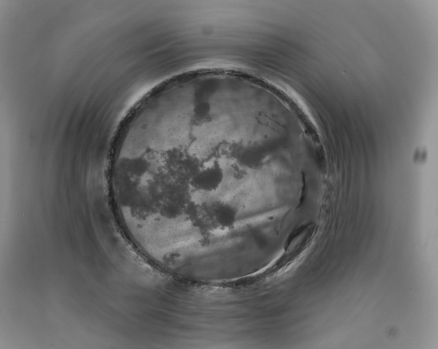 X0000092010783200709201529