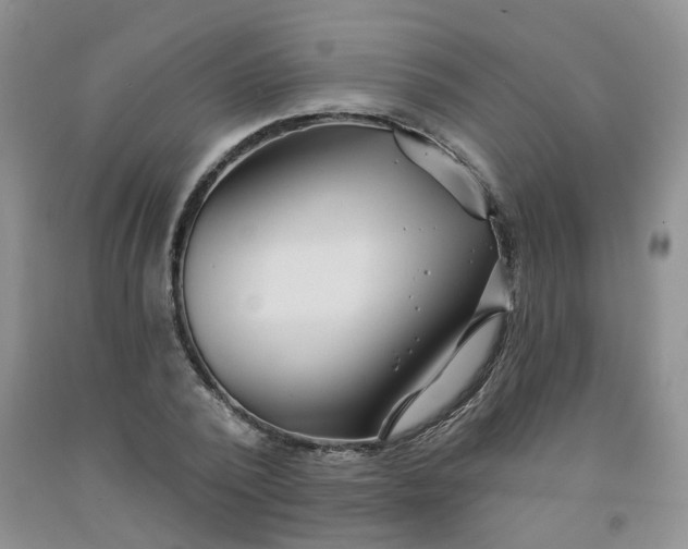 X0000092010784200709201529