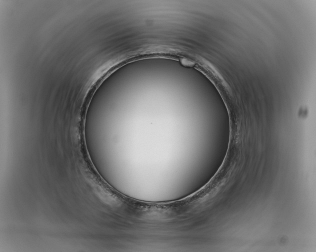 X0000092010786200709201529
